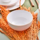 Μπωλ Πορτοκαλί - 15 εκ.