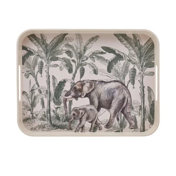 Δίσκος Σερβιρίσματος - 30x40 cm